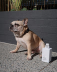 Coco Dog Shampoo