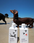 Somic Art Series - Anne Gee (450ml Pair)