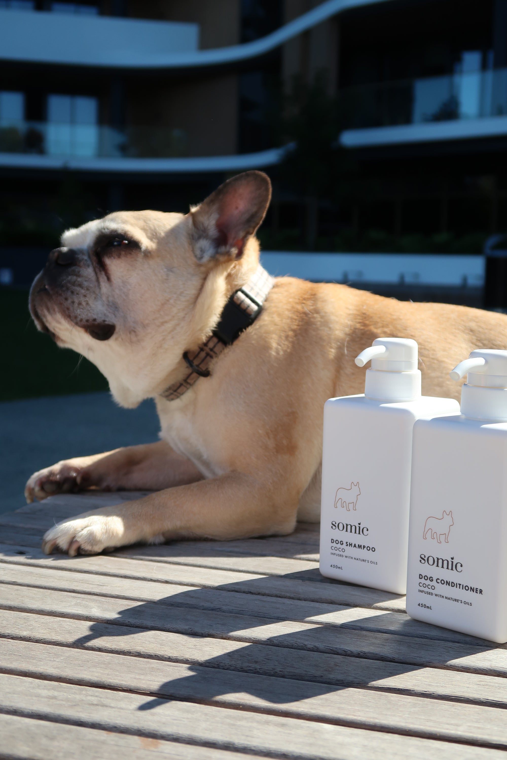 Coco Dog Conditioner