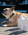 Coco Dog Conditioner