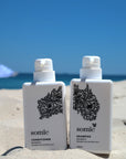 Somic Art Series - Anne Gee (450ml Pair)